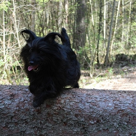 Im Frühling 2019 (2)